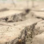 Drought Preparedness & Water Conservation